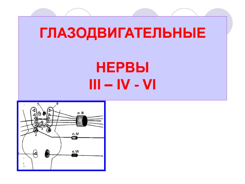ГЛАЗОДВИГАТЕЛЬНЫЕ   НЕРВЫ      III – IV - VI